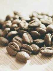 Lu Zongapos;s Hidden