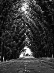 The Uncle Emperor Do