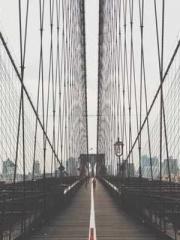 My seven stunning an