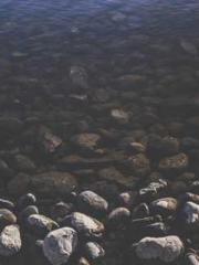 Saintly Gate Venerab