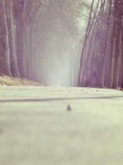 The Hardships of a D