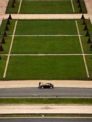 lt;Marry at first si