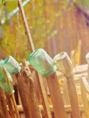 My rewards double au