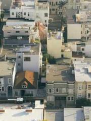 My pets are all amaz My pets are all amaz