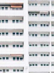 Shen Ning, Ran, Bo J Shen Ning, Ran, Bo J