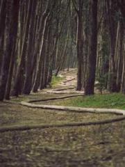 Wang Xuan Mu Qingyue Wang Xuan Mu Qingyue