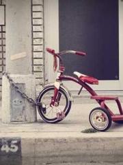 The Wife of My Heart The Wife of My Heart