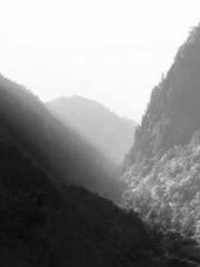 The Best Little Body The Best Little Body