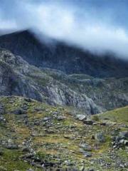 The Beloved Physicia