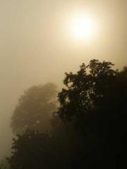 The Rough Man Hunter