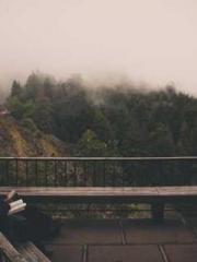 After miscarriage an