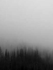 Dangerously Close to Dangerously Close to