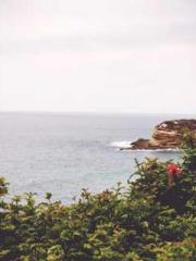 lt;Dragon King Legen