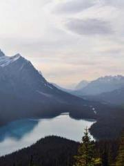 The Imperial Concubi