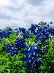 lt;lt;Waste Material