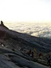 Rebirth as a Court A