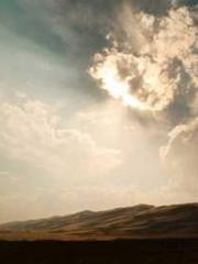 My rewards double au My rewards double au